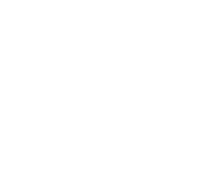 Peak Performance - Fonts In Use